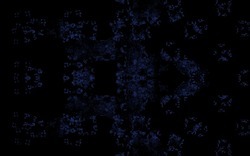 2014 04 30 Webs and Things 28-black.jpg